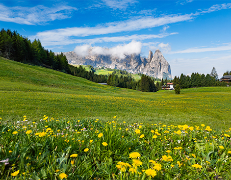 Dolomit görseli